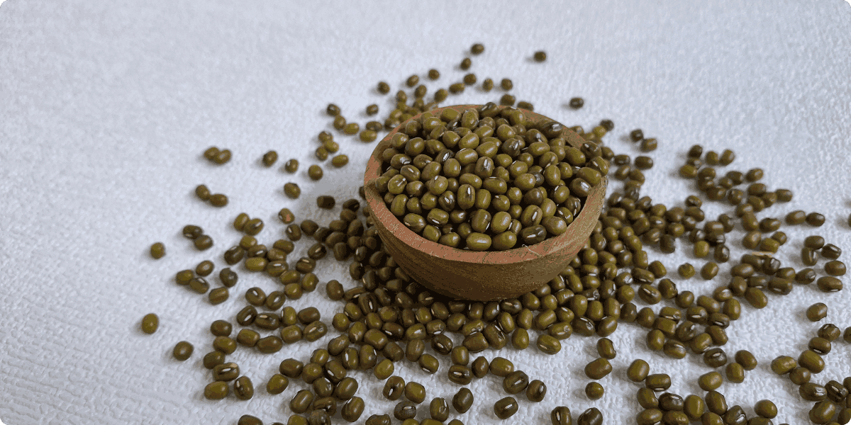 mango-fazole-na-kliceni-v-drevene-misce-2